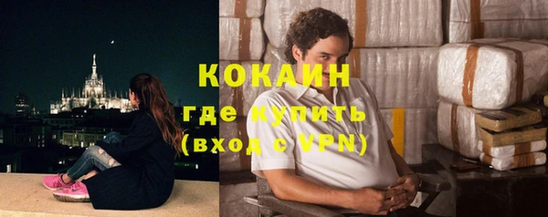 шишки Нягань