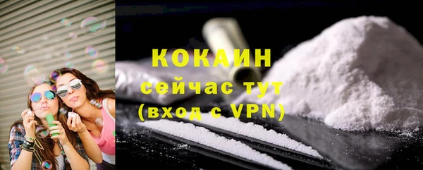стаф Богданович
