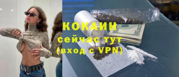 дмт Богородск