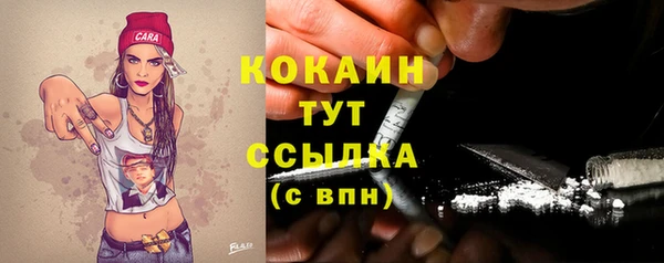 дмт Богородск