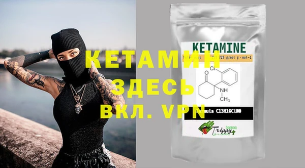 стаф Богданович