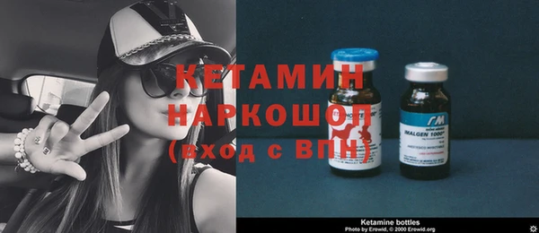 стаф Богданович