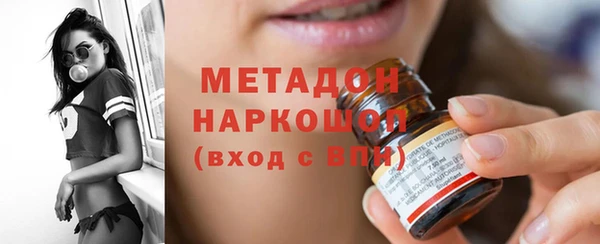 стаф Богданович