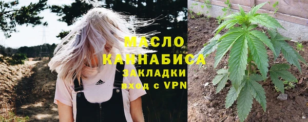 дмт Богородск