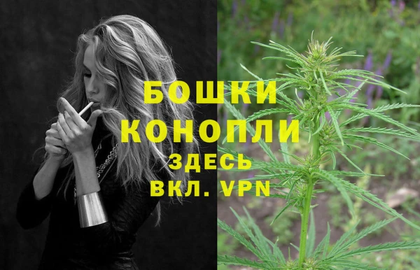 тгк Богородицк