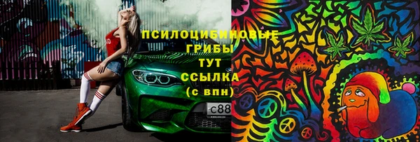 шишки Нягань