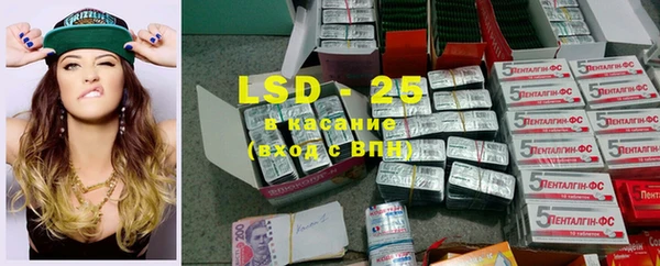 стаф Богданович