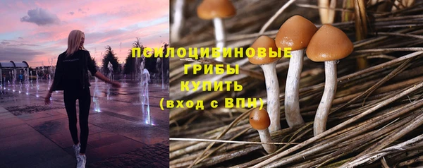 дмт Богородск