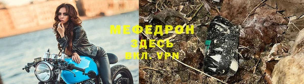 стаф Богданович
