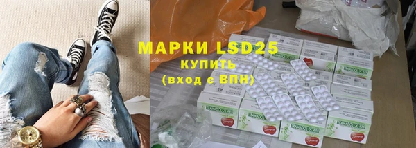 стаф Богданович