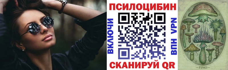 Псилоцибиновые грибы Cubensis  как найти   Саяногорск 